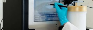 case study ANT3273