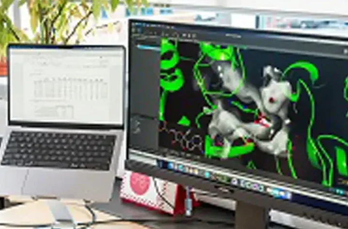 Virtual screening services