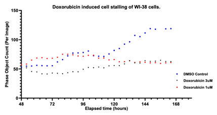 Senescence assay development