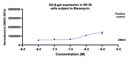 Senescence assay development