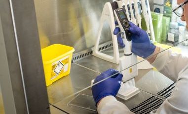 mg assay development