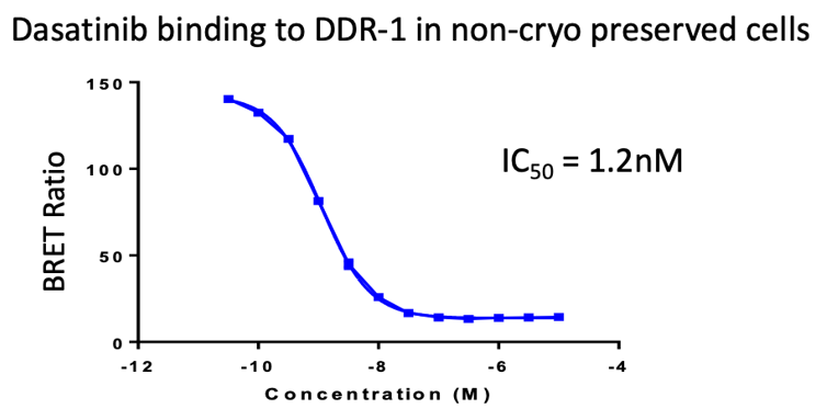 Kinase Target Engagement