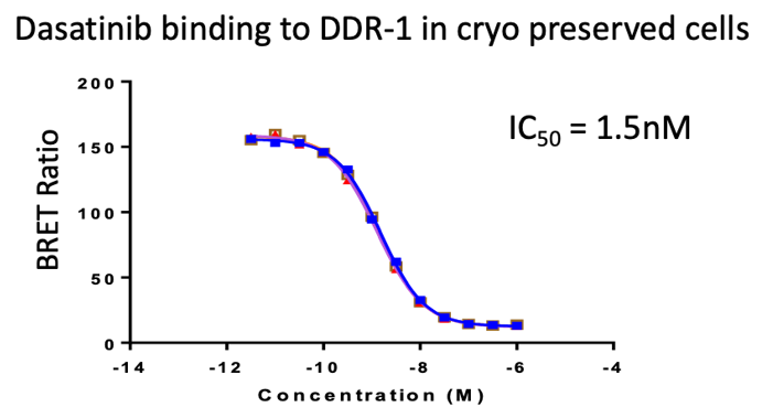 Kinase Target Engagement