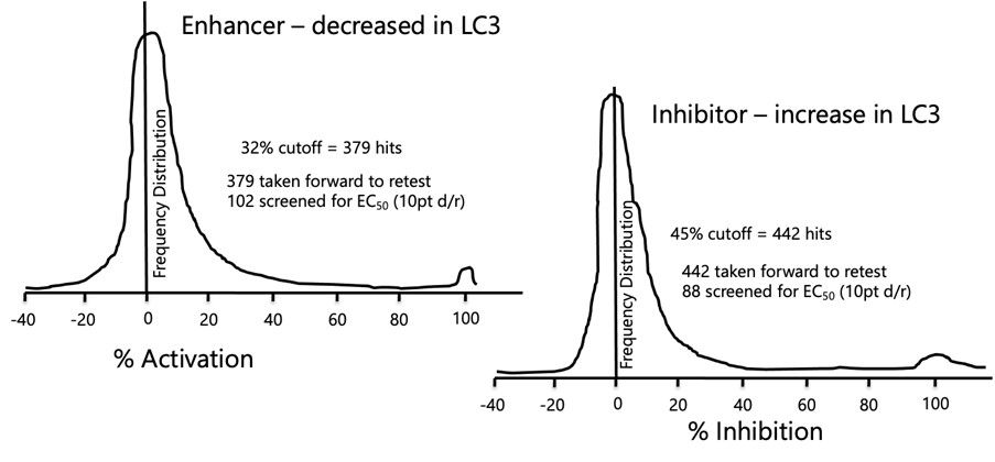 Autophagy assay development_High throughput