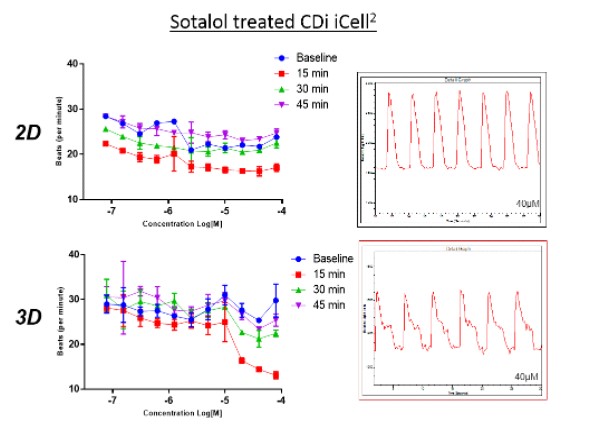 Cardiomyoctes_Phenotypic screening_sotalol treated cells