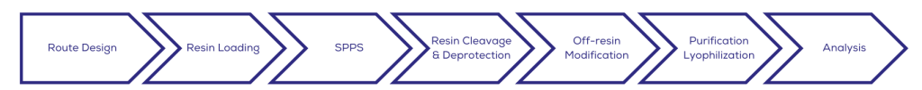 Custom Peptide Synthesis Services