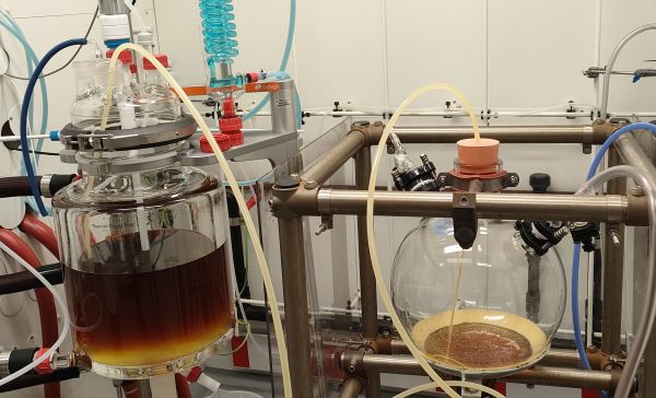 Drug Discovery and Development