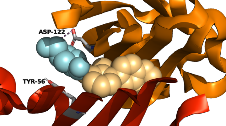 Developing novel pd-l1 modulators_4